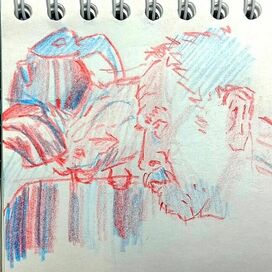 Кот-помощник 