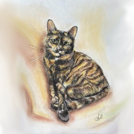 Пестрая элегантность