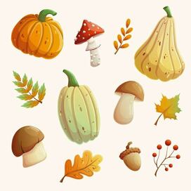 Осенний сет