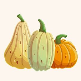 Осенний сет. Тыквы 