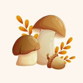 Осенний сет. Грибочки 