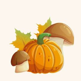 Осенний сет 