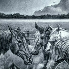 Иллюстрация к рассказу Л. Н. Толстого "Холстомер"