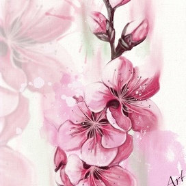 Утренняя радость