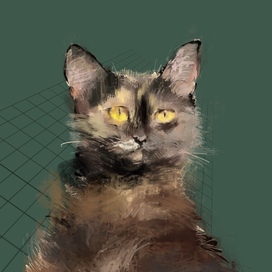 Глаза - янтарь