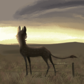 Охотница за штормом