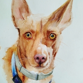 Портрет акварель