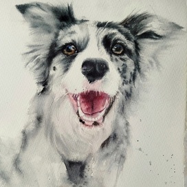 Пойдем гулять!!!