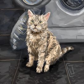 Приём ванны