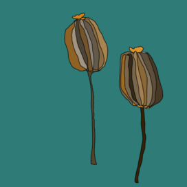 Смакавыя коробочка