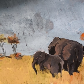 Животные Африки 