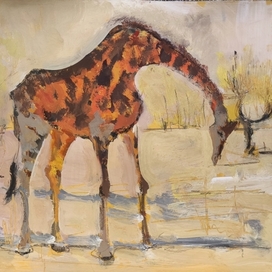 Животные Африки