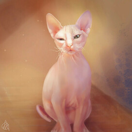 Лысый котейка