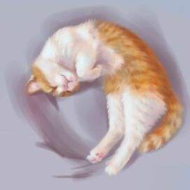 Спящий котеич