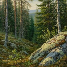 Пейзаж, лес.