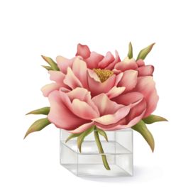 Цветущий пион