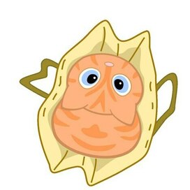 Кот в пакете