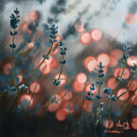 Цветы и свет