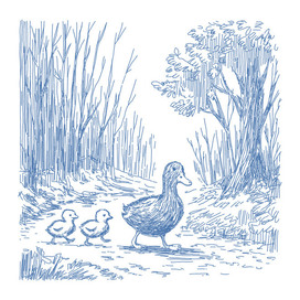 Уточки - туточки