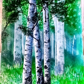 Березовая роща