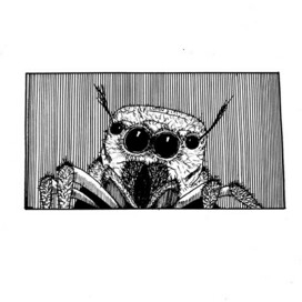 Добрые глаза