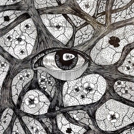 Наблюдающий