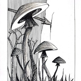 Грибной лес