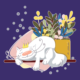 спящий котик