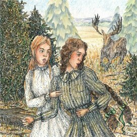 Иллюстрация для сказок "Неселеного моря"