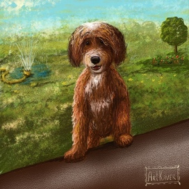 Веселый и мокрый пес