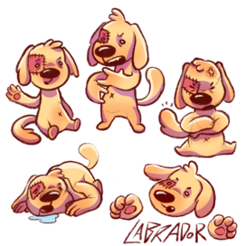 маскот лабрадор