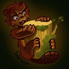 бобер на заказ