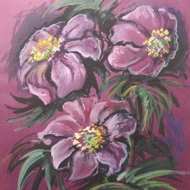 Марьин корень