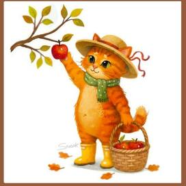 Серия иллюстраций