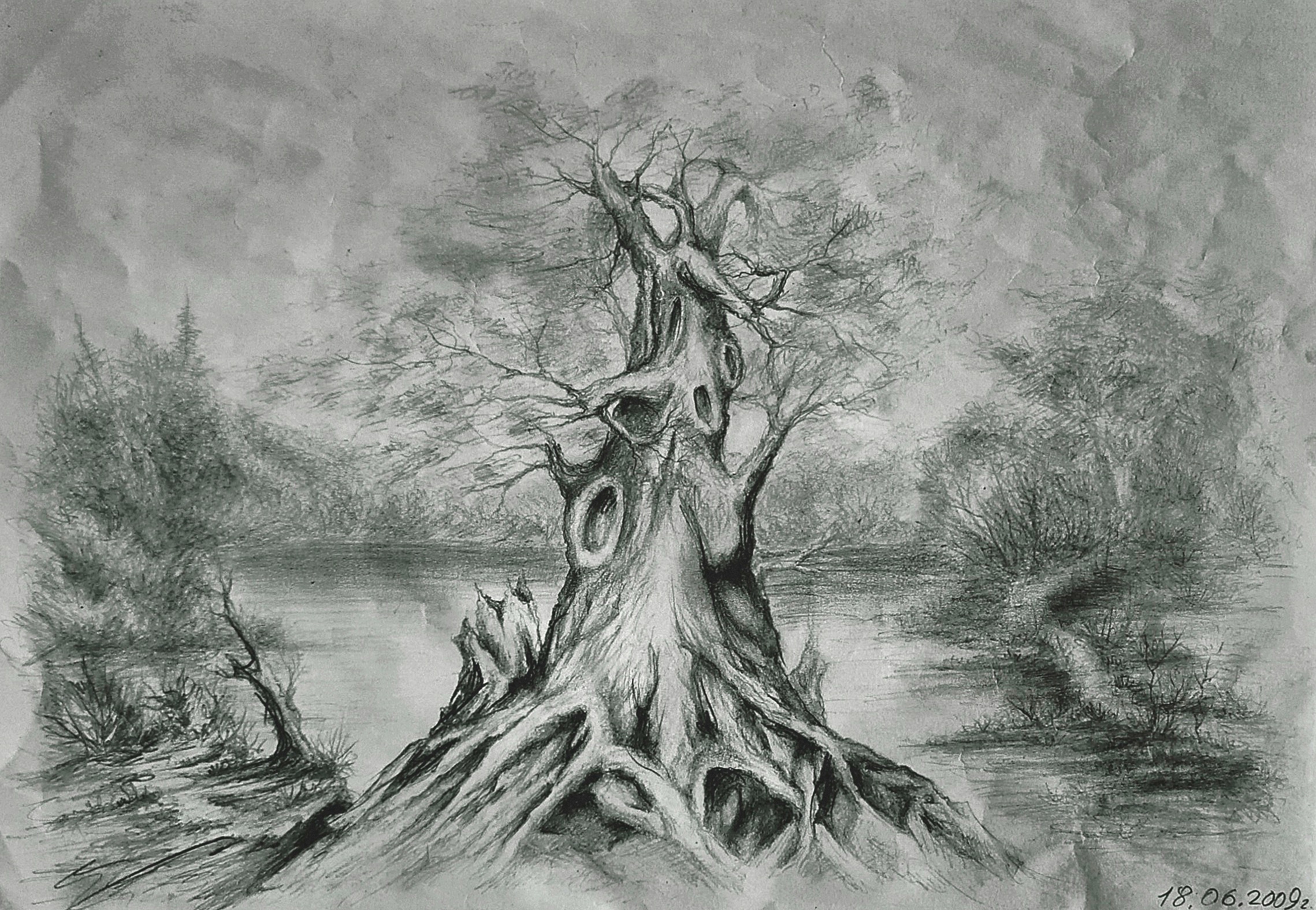 Волшебная сила леса.