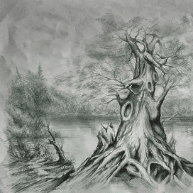 Волшебная сила леса.