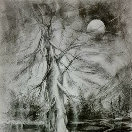 Здесь рождаются сказки.