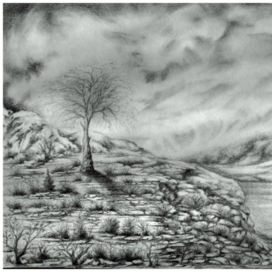 Перед дождём.