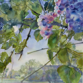 Луна и виноград