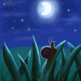 Ночная улитка