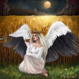 Девушка-аист