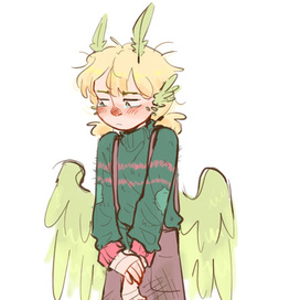 Дизайн Элис