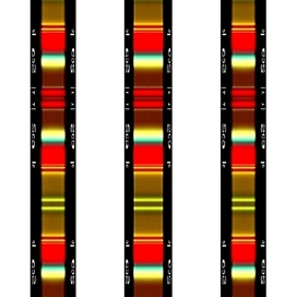 Киноплленка