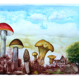 Грибной  лес