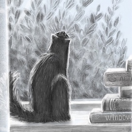 Вид из окна