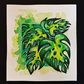 Листья монстеры