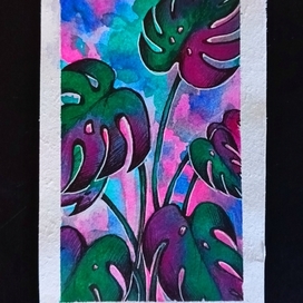 Яркая монстера