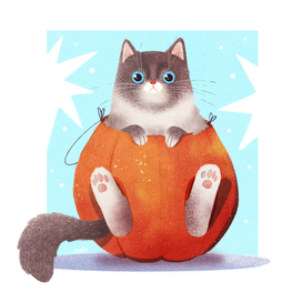 Котик в тыкве