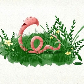 Весёлый червячок