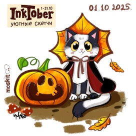 Котик и тыква